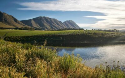 A Guide to the Hemel-en-Aarde Valley: Wine, Nature and Scenic Views Near Hermanus