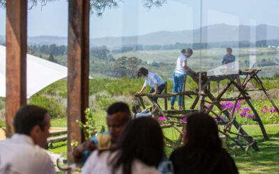 Child-Friendly Wine Farms in Cape Town: Why Families Love Bosman Hermanus