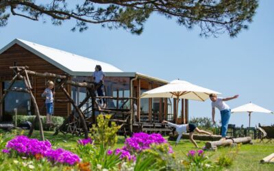 Wine Farms With Play Areas: Planning A Relaxed Family Visit In Hermanus