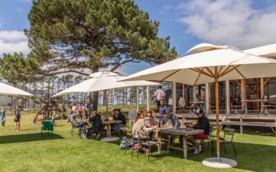 Wine Farms Close To Me: How To Find The Right One Near You