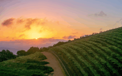 Cape Town Winelands: Exploring Beyond the Usual Routes