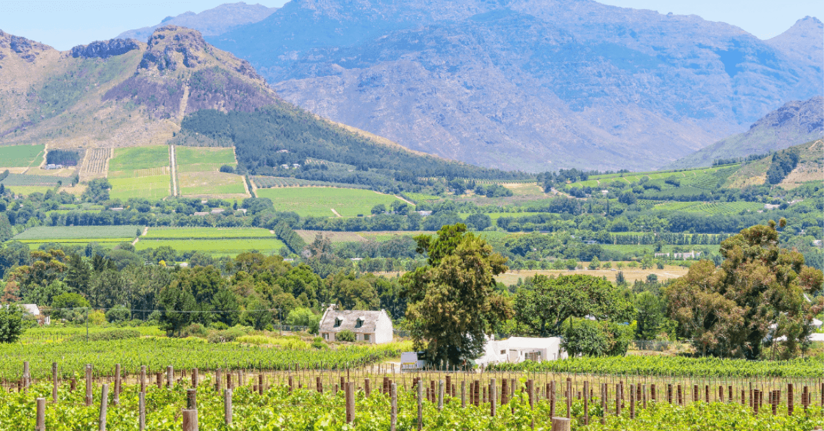 Scenic view of wine farms surrounded by mountains in Franschoek