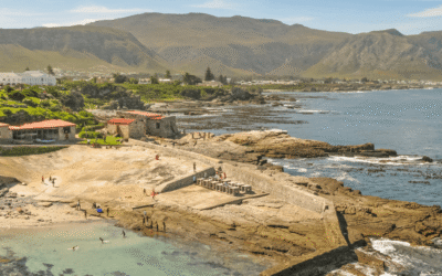 What to Do in Hermanus Today Without a Booking