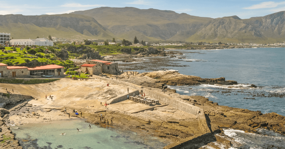 What to do in Hermanus without a booking Feature Image